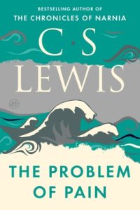The Problem Of Pain